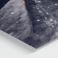 Print on Canva - Snow Magic