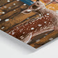 Print on Canva - House of Magic