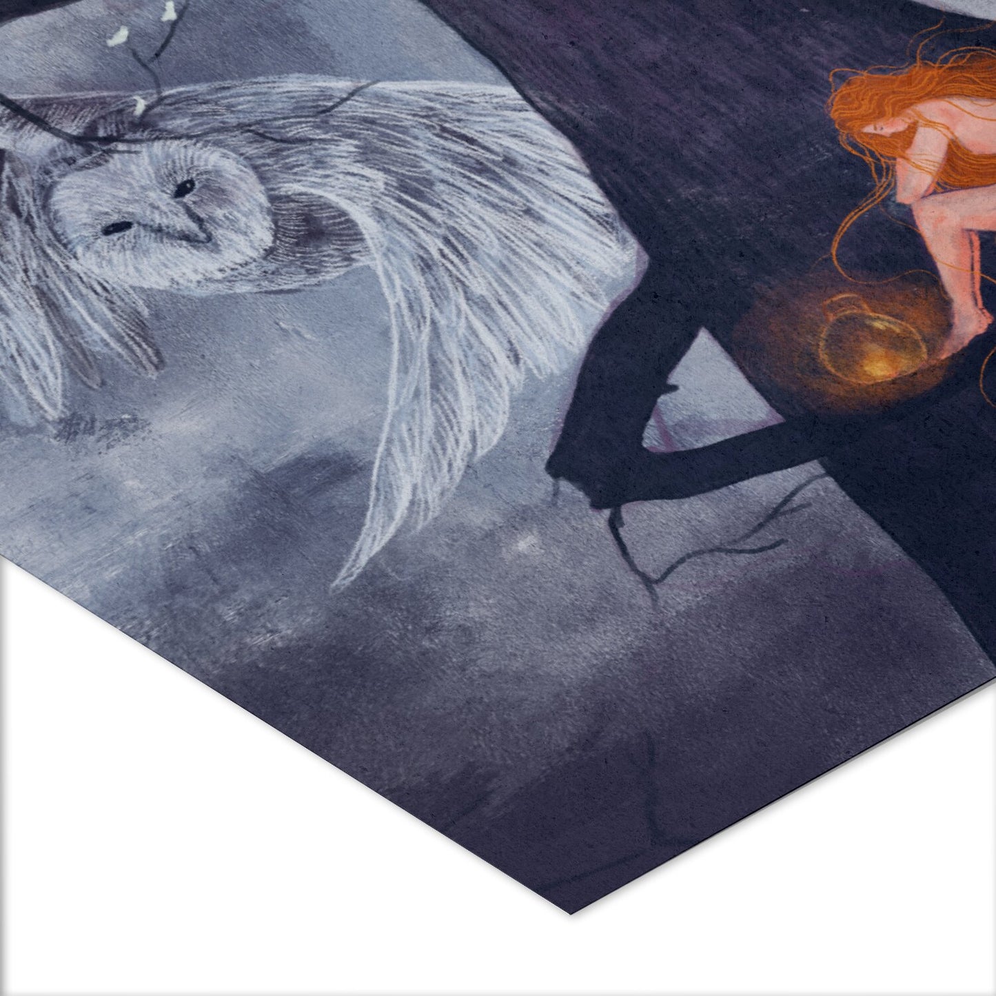 Impression Fine Art - Sauvage Nocturne