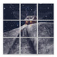 Ceramic Tiles - Snow Magic